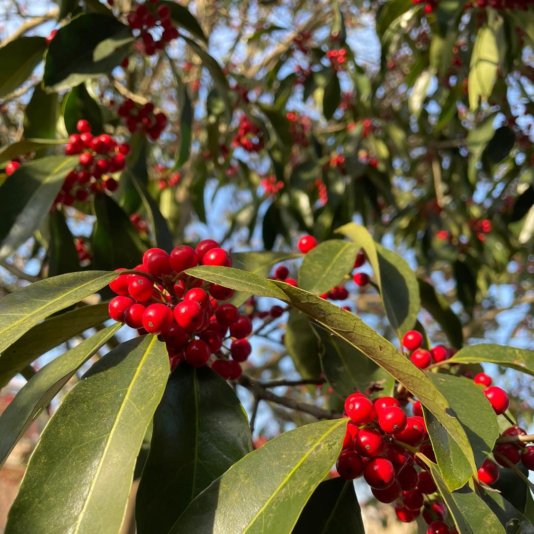 大小姐💋  8零小厨(广德)