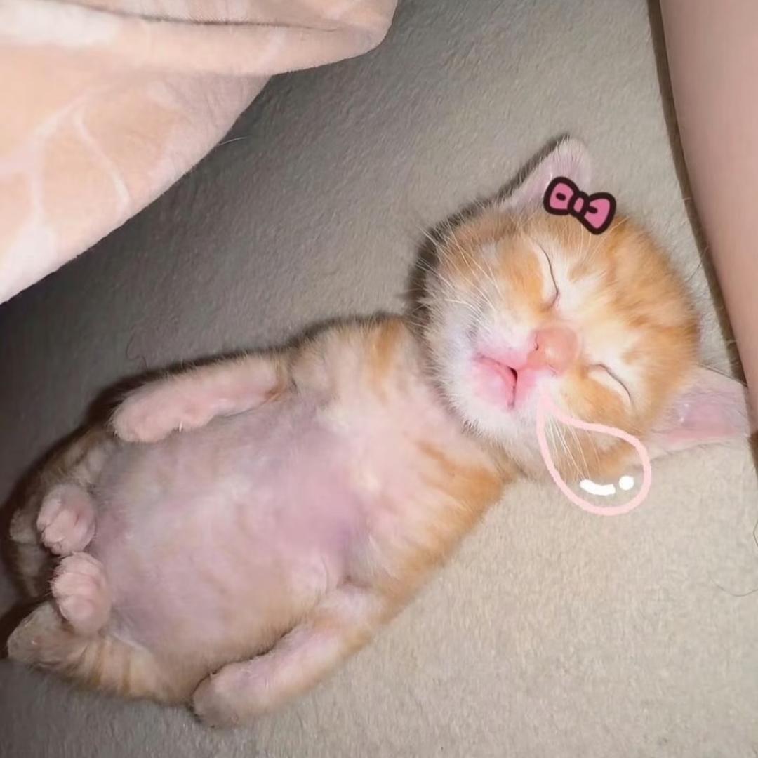 软绵绵