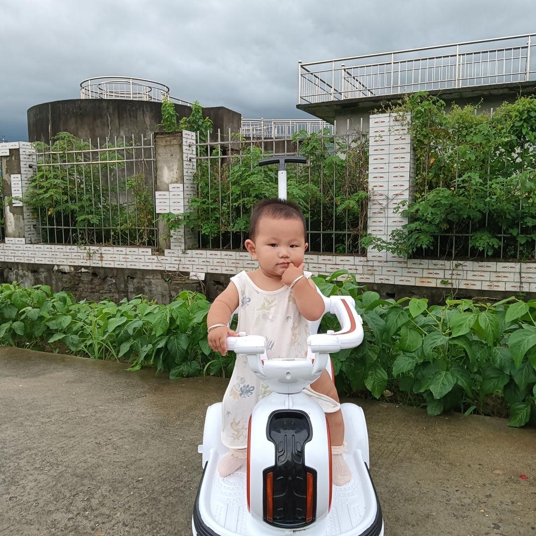 小布溜来啦