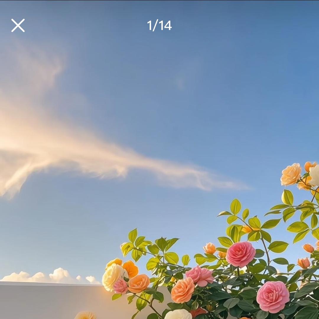 花语园艺生活