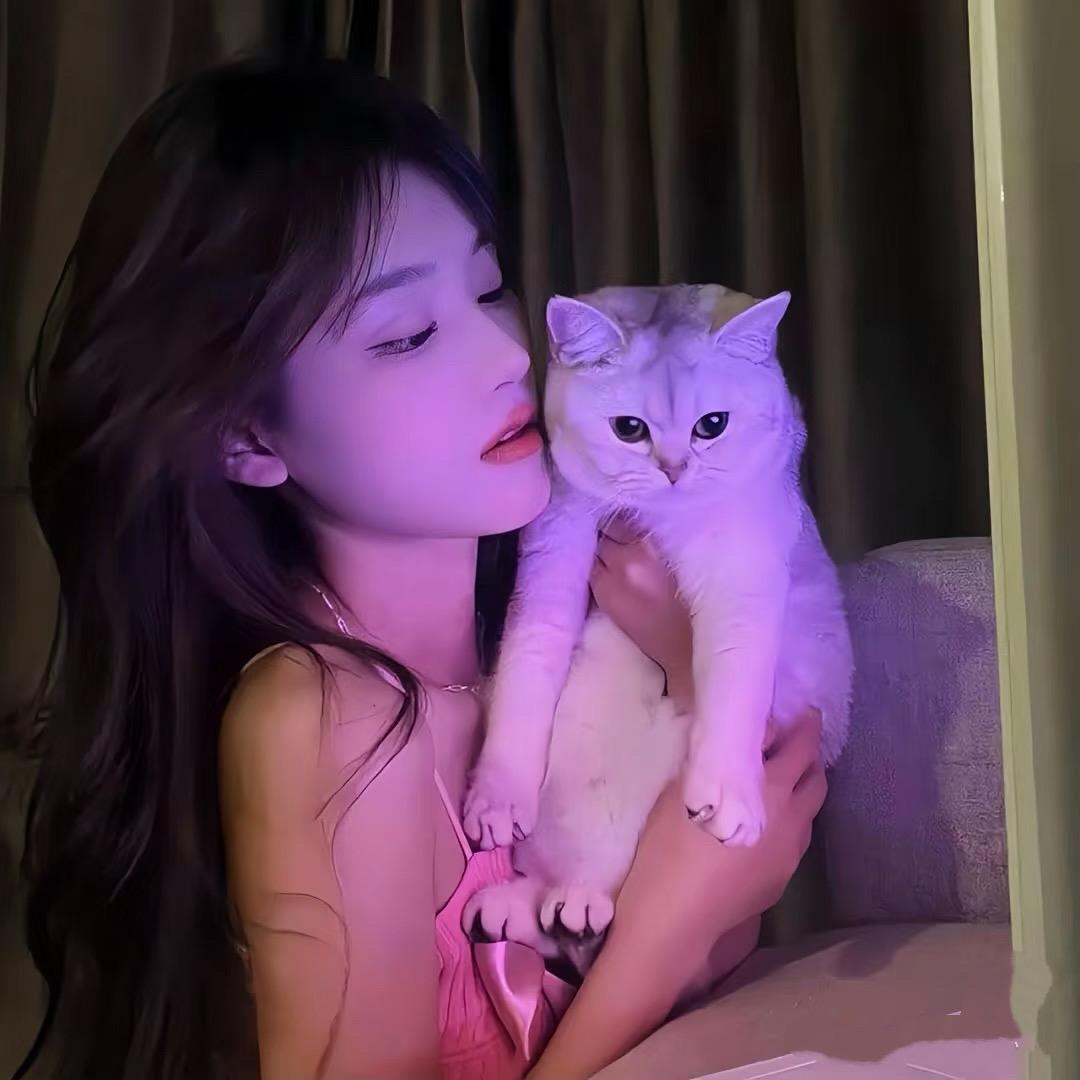 小刘呀💫