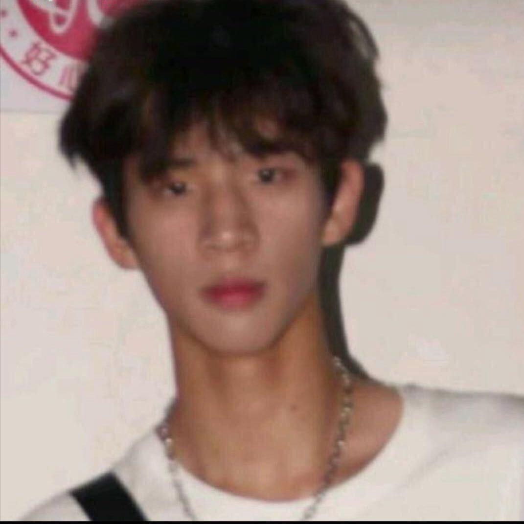 橘子味的特仑苏