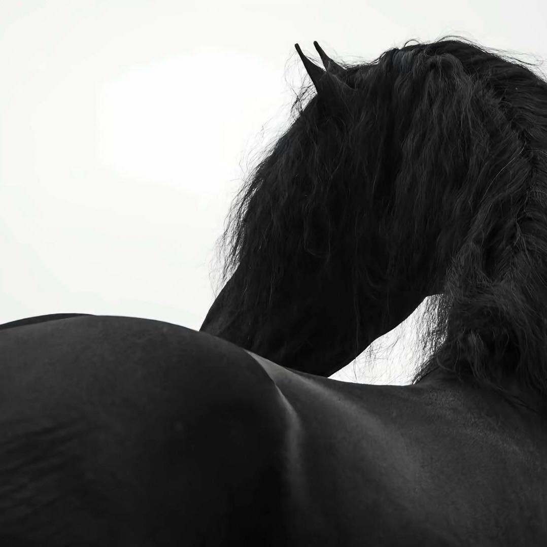 不立人设
