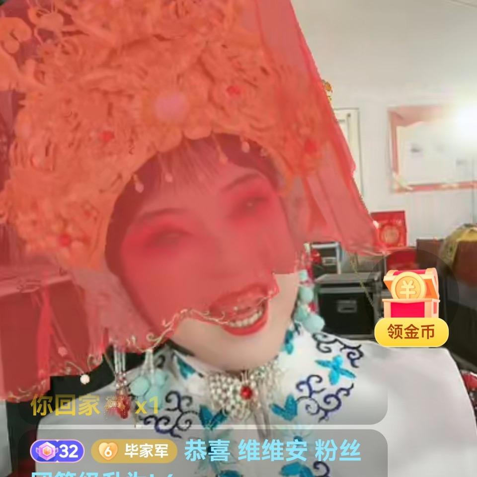 河南曲剧毕双平