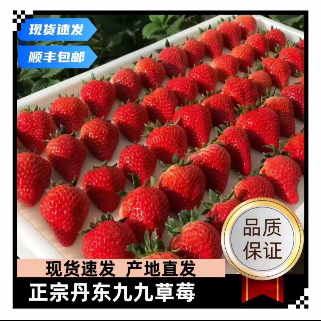 丹东小王九九🍓草莓招代理