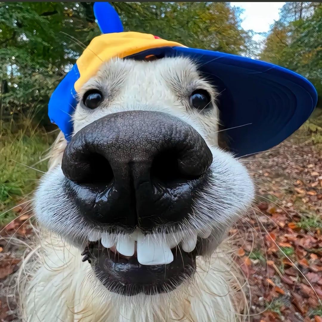 沉默寡言的小少爷