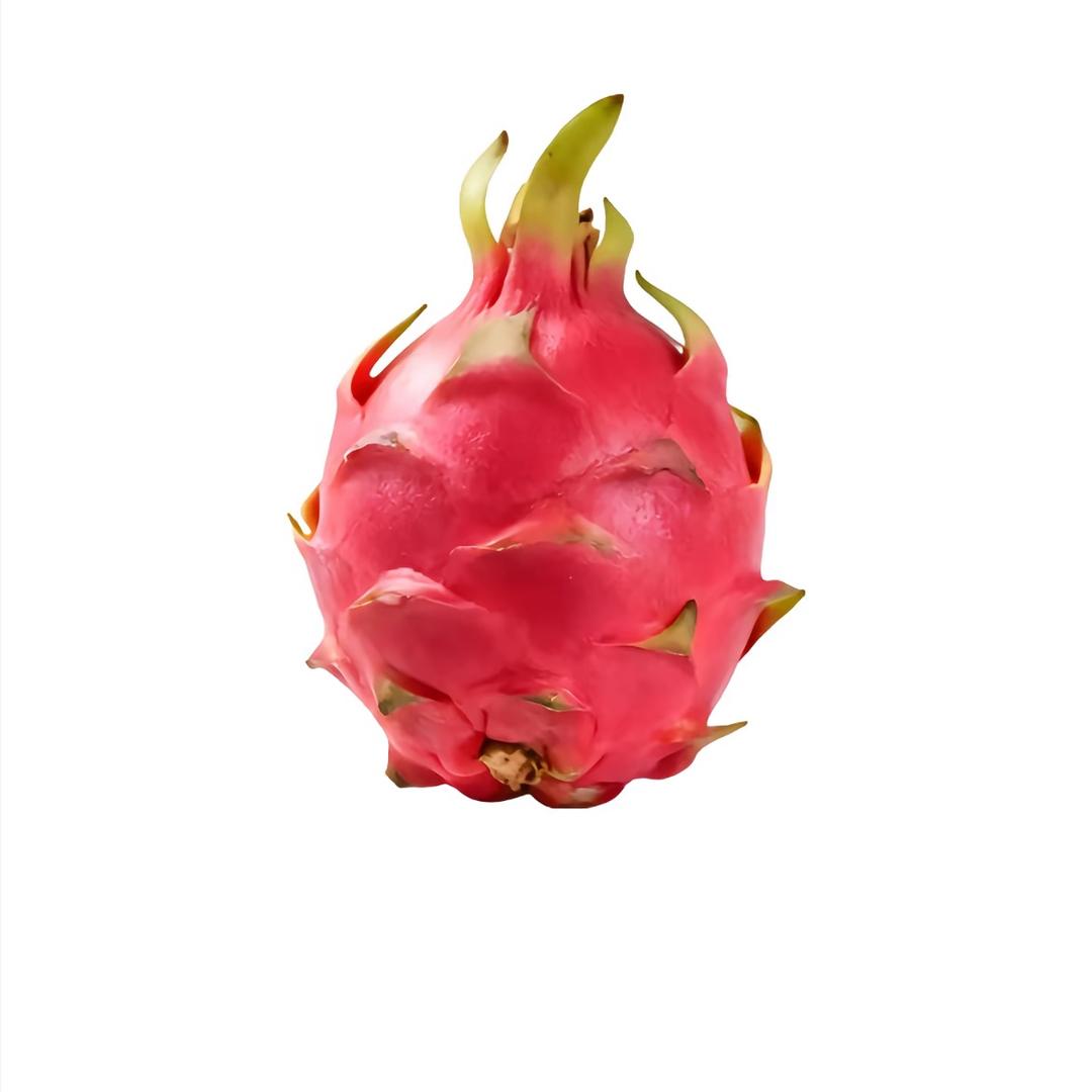 你赐于我的礼物