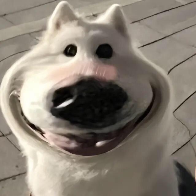 露子.