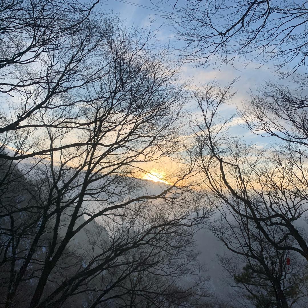 颖