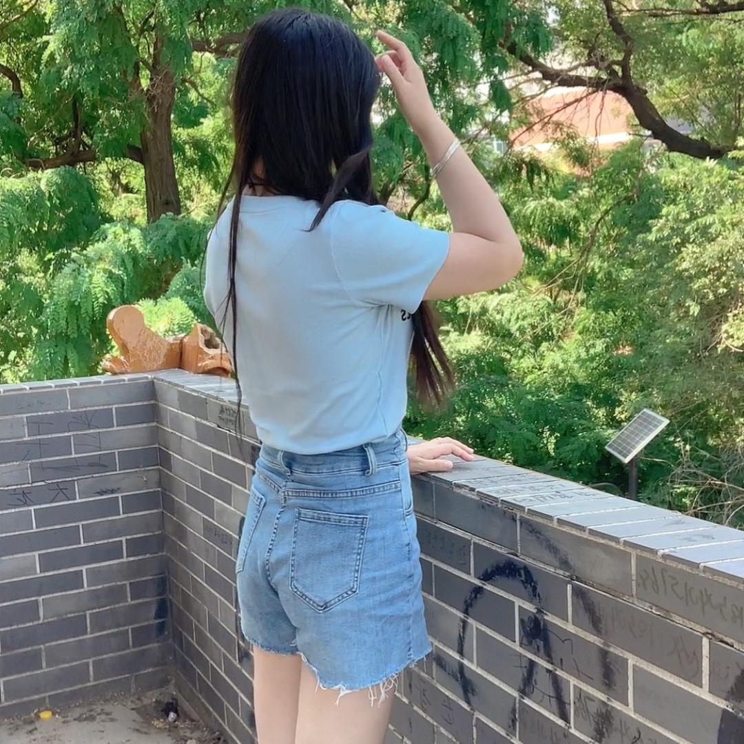 金圆圆