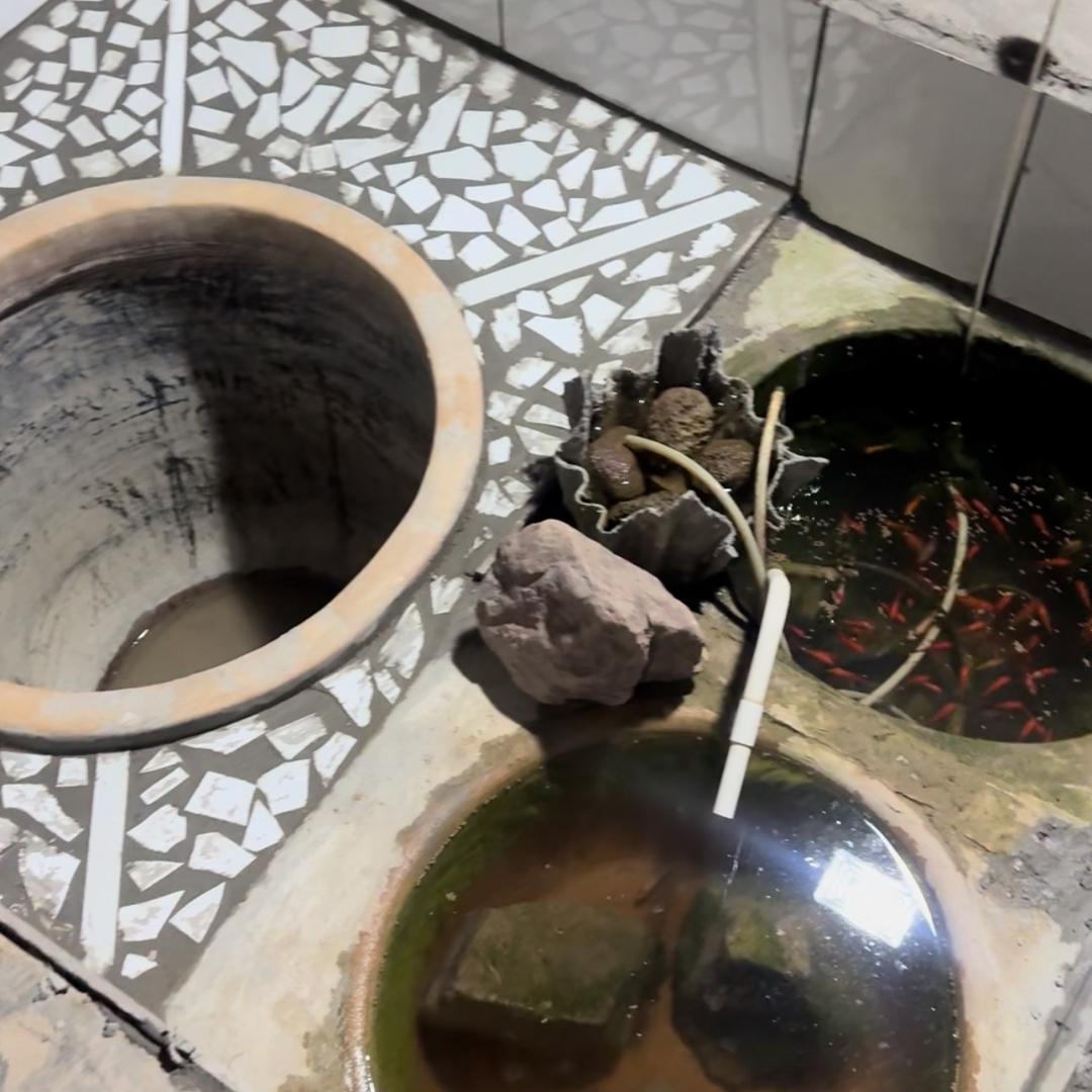 小鱼儿🐠