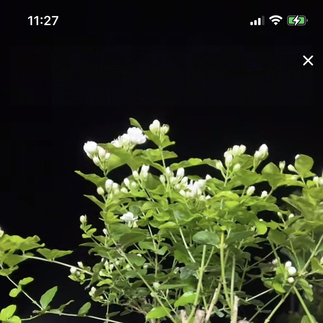 承灿优品