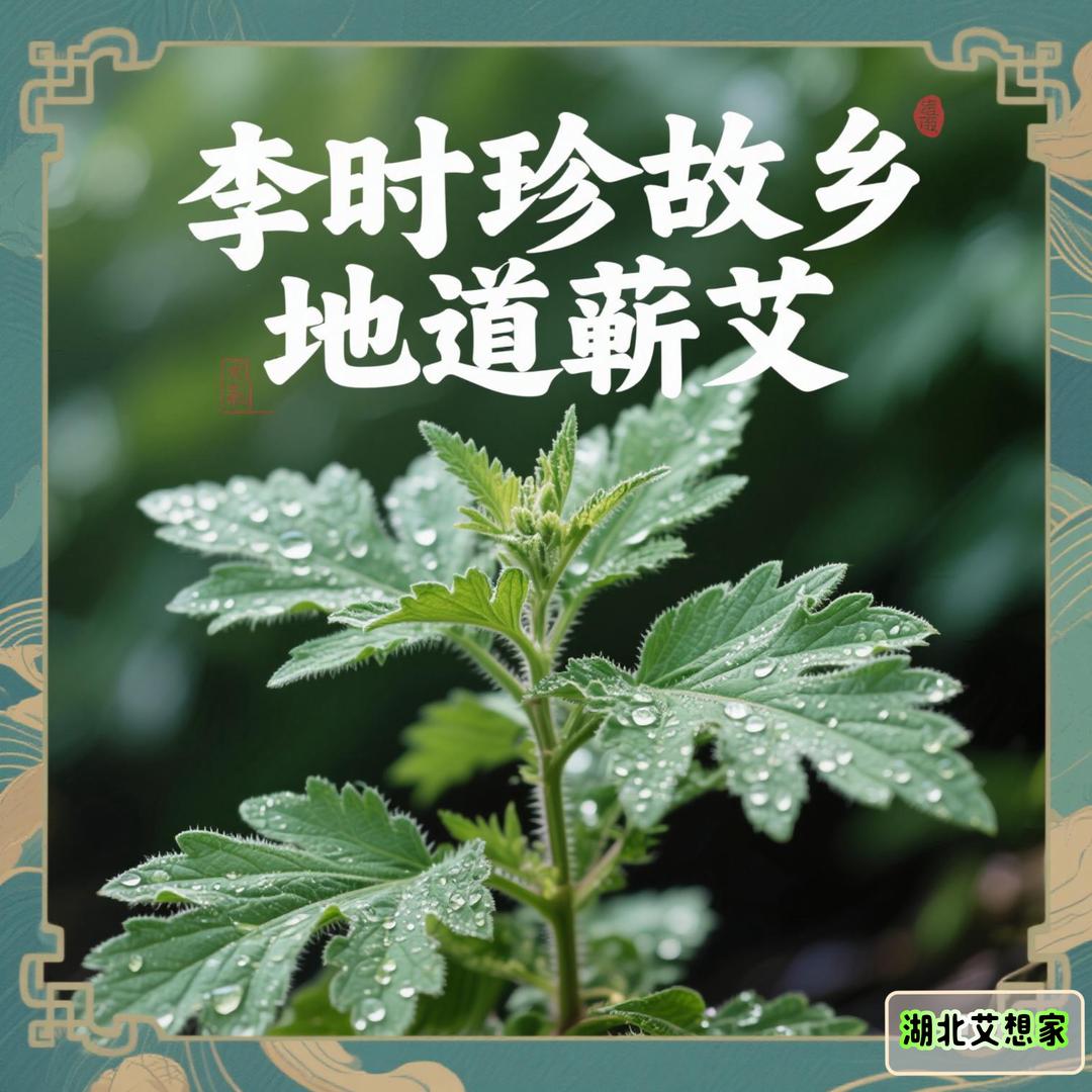 艾想家
