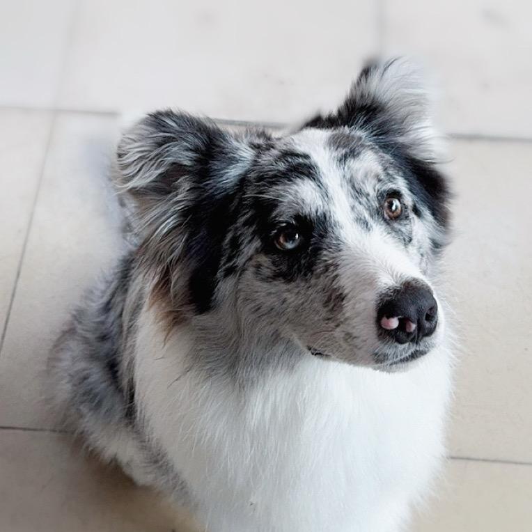 Tara