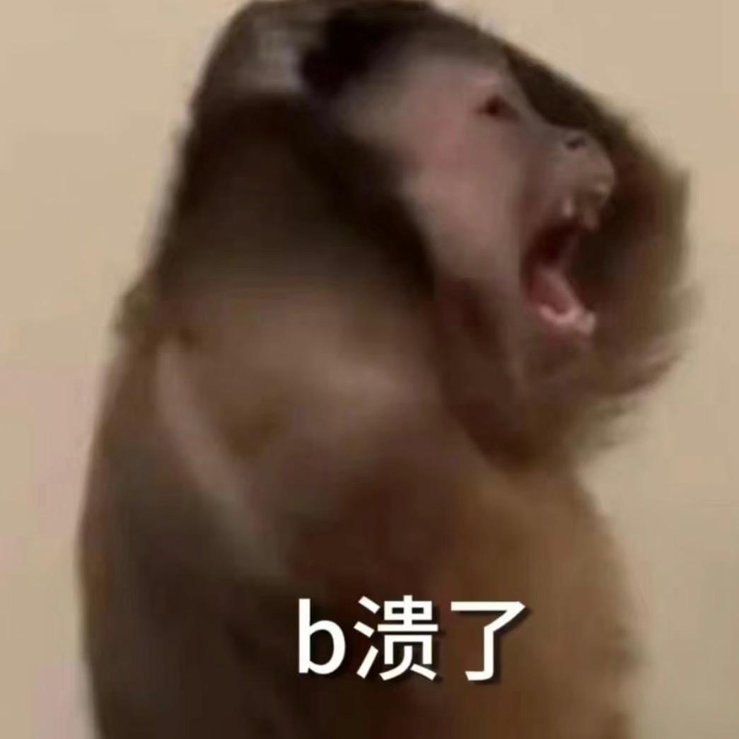 干碎杯世界的杠子