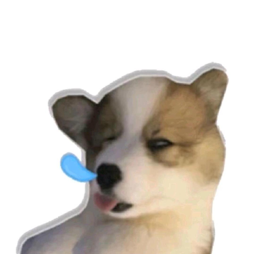 l1l1oO