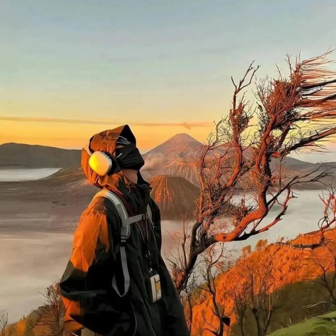 王者荣耀微菜（干中学版）