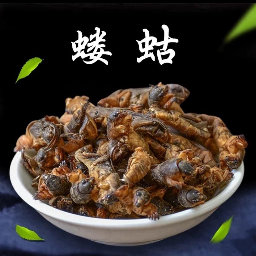 乡村上的梦