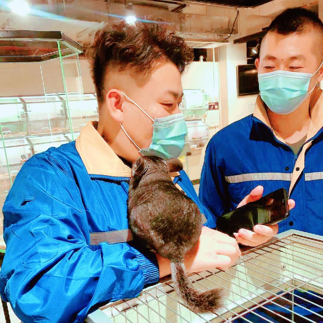 二公子❤️（浪）