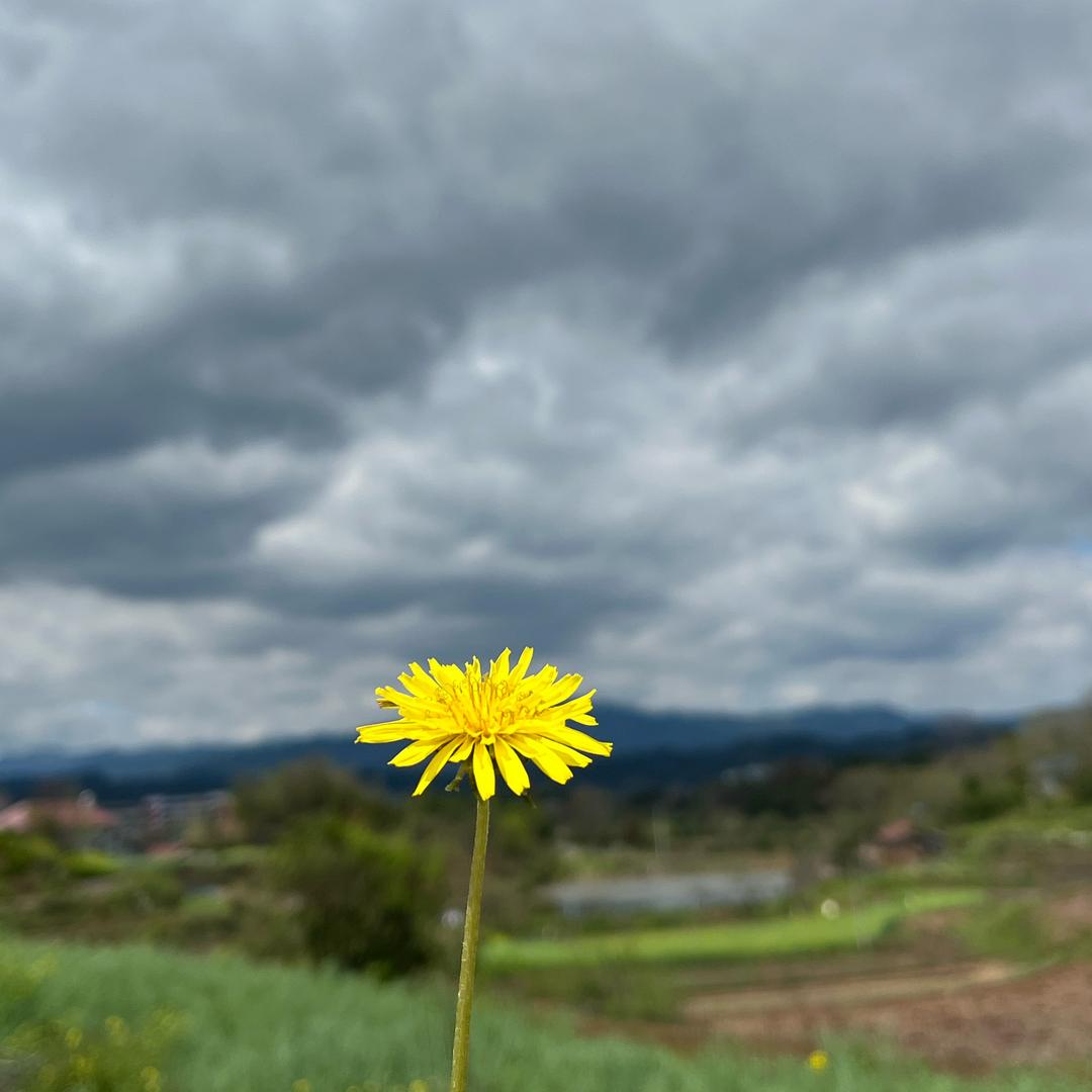 财神爷的小宝贝