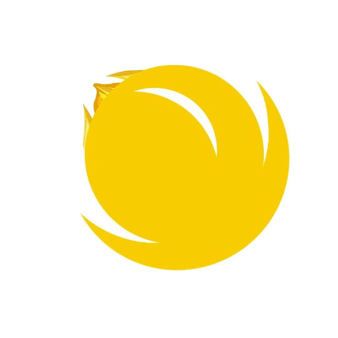 谷粒服饰
