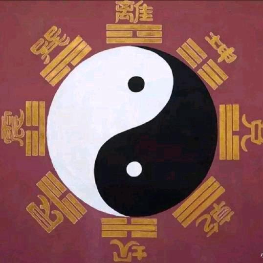 云智文化（起名）