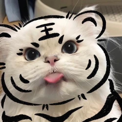 萌宠之家臻选