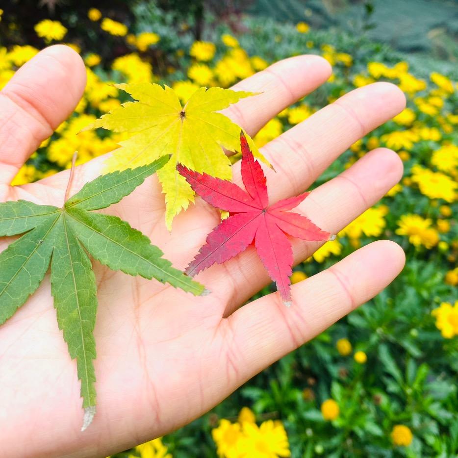a不羁范儿