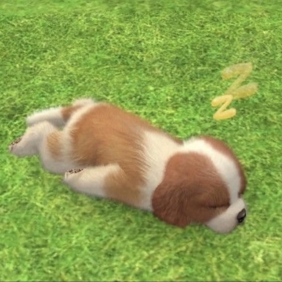就是好无语
