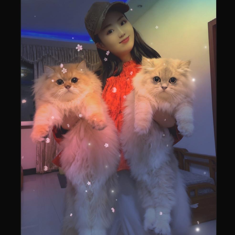 Xuꫛ䒕凤♞᭄💞࿐ᩚ