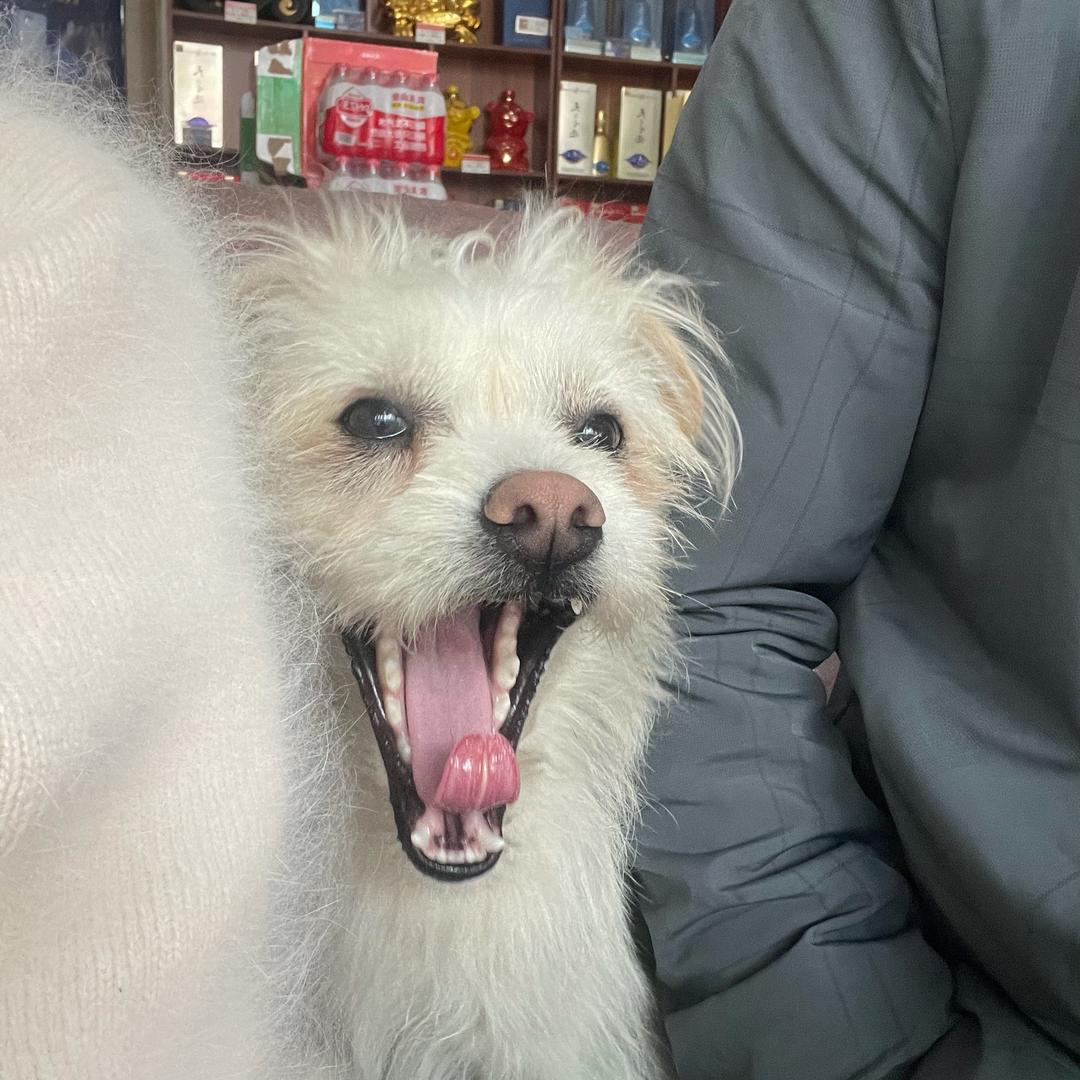 利雨酒行（泸州白酒）
