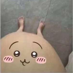 邹城红鹦鹉 二卫