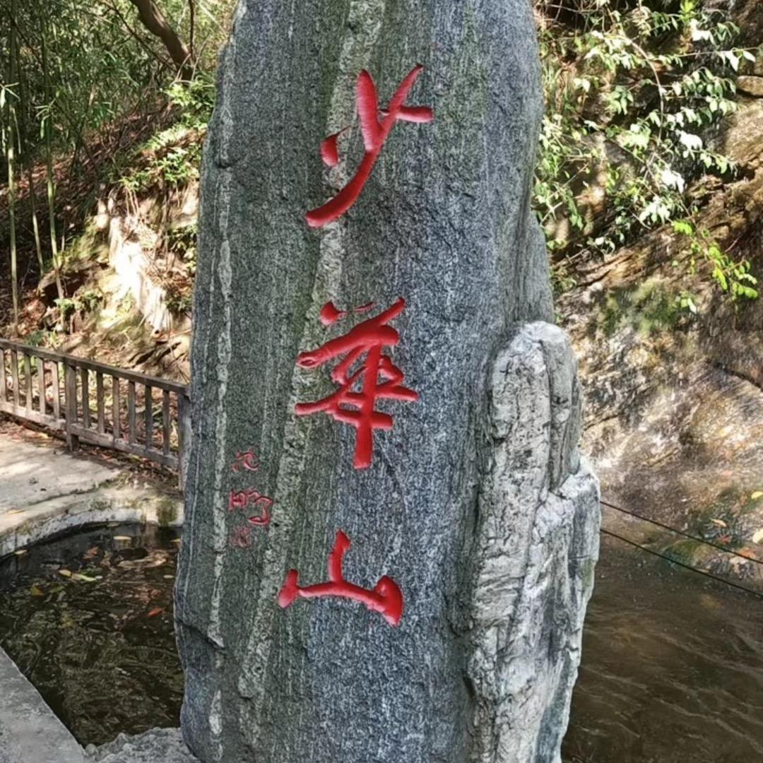 奋斗为明天