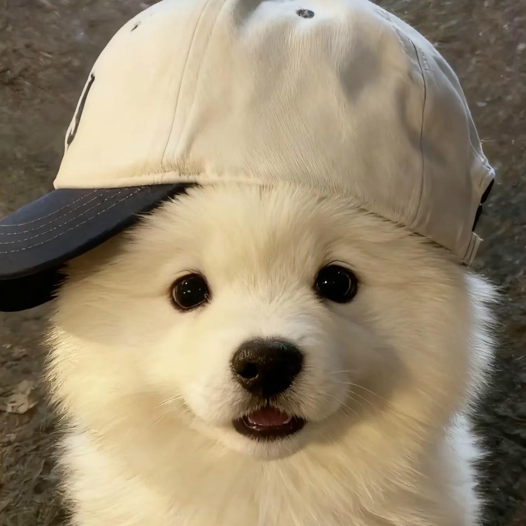 好好