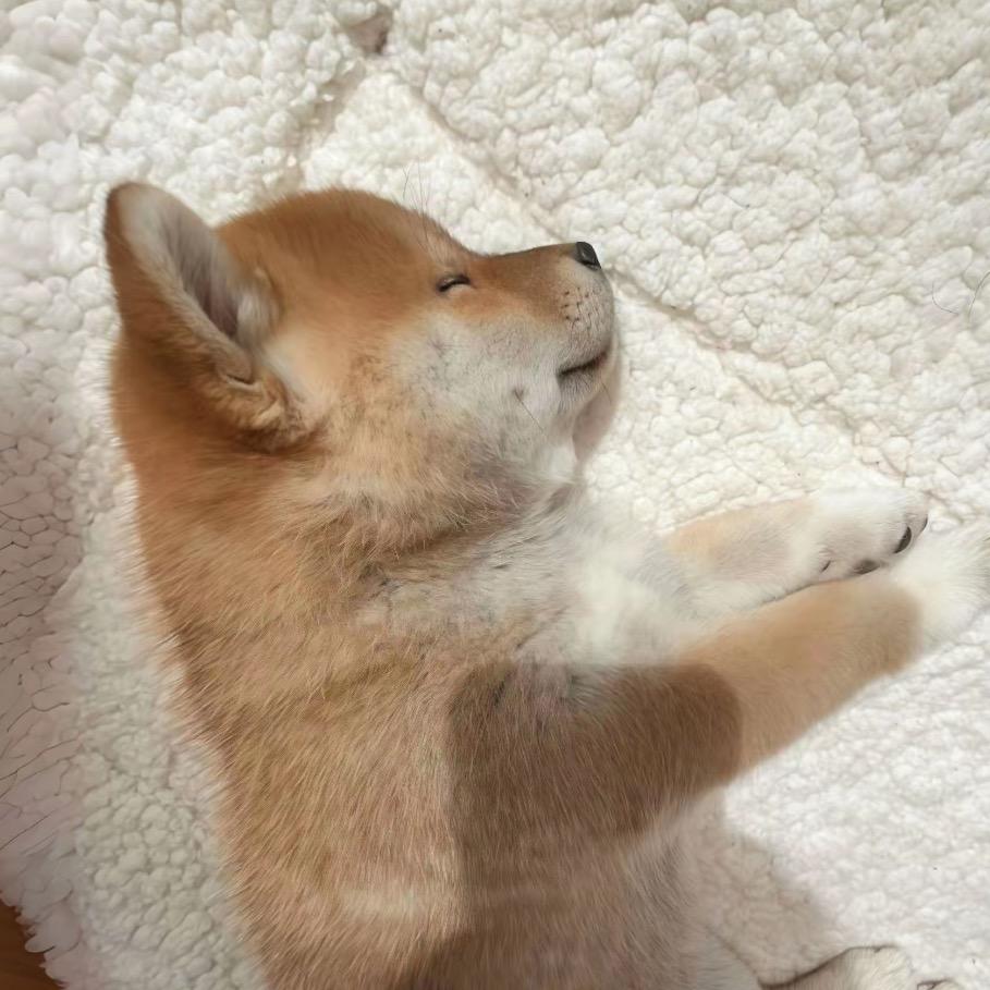 神也会忧郁