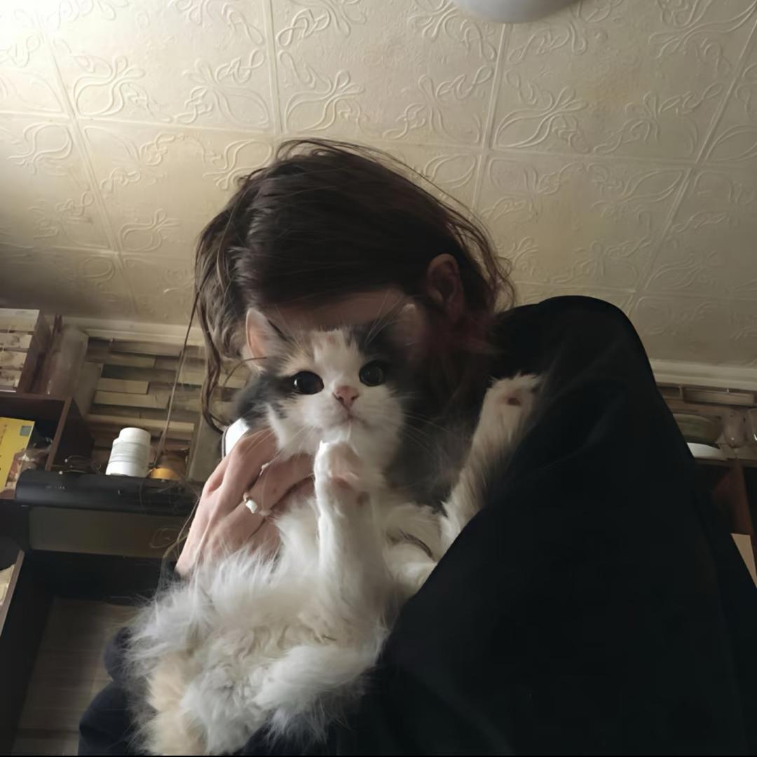 美亚代采