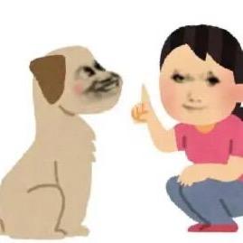 爱辣老师（努力版）