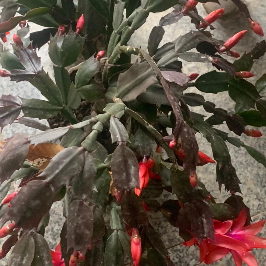 我不知道我在等什么