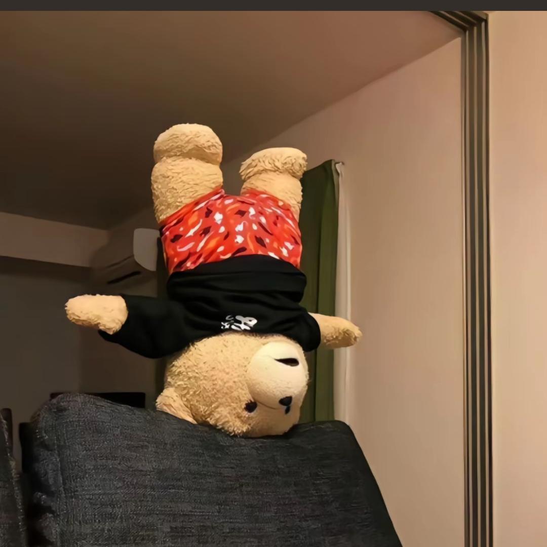 才二十三