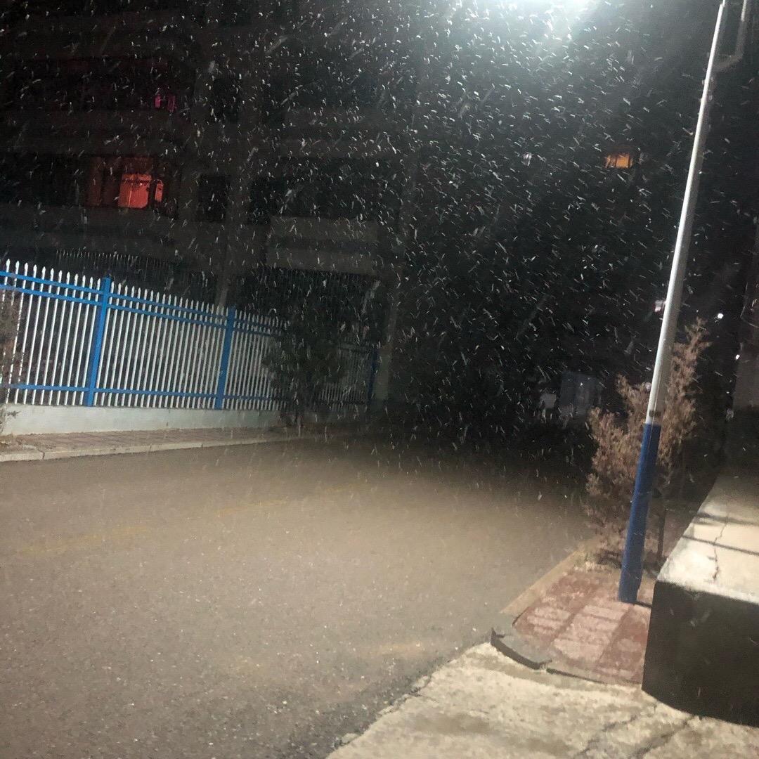 初见 /