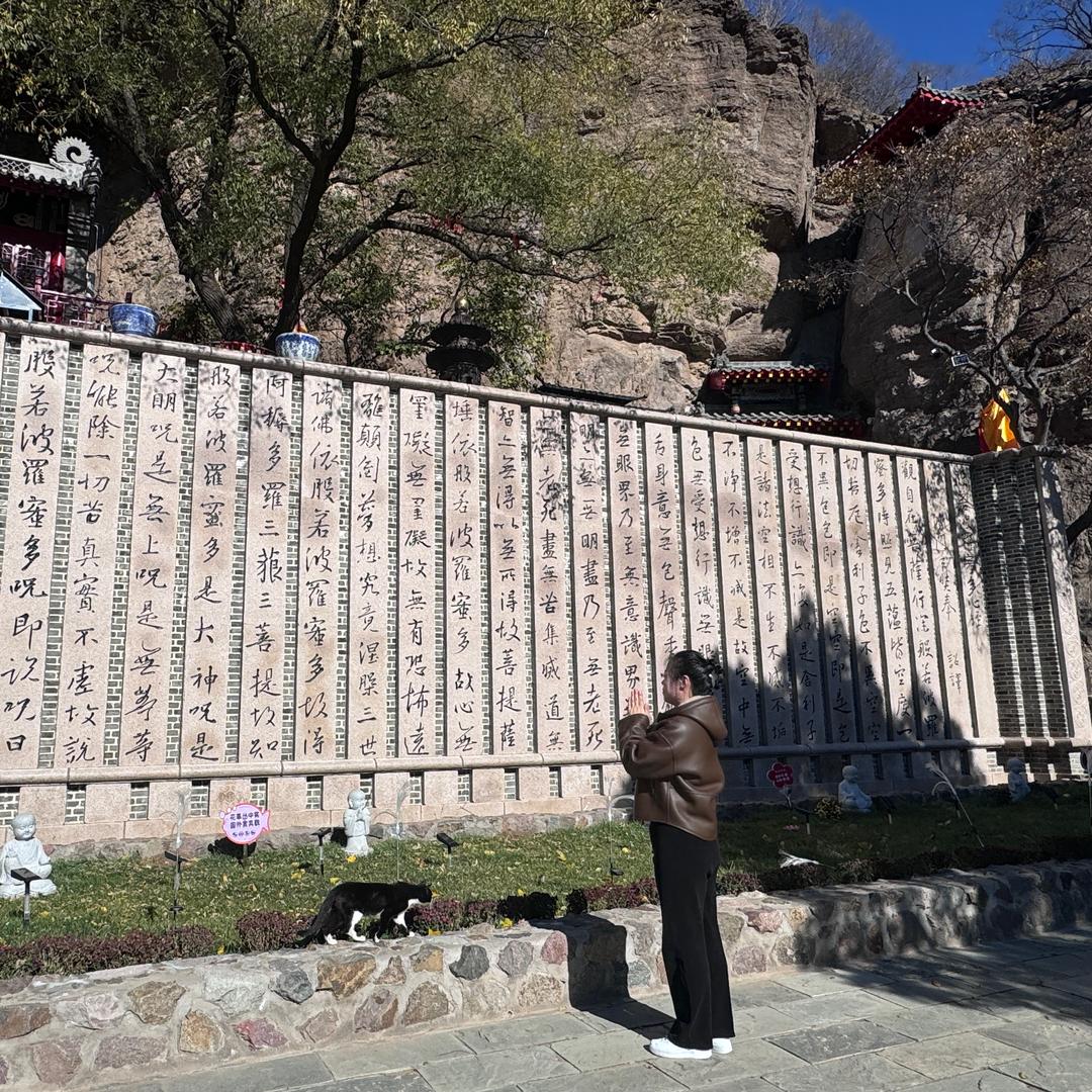 是兵兵呀
