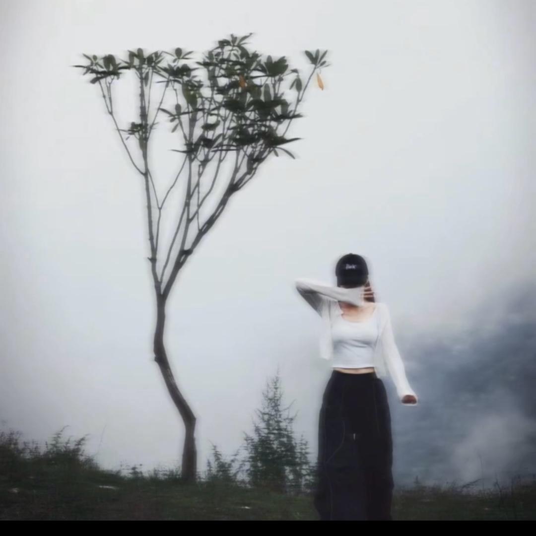 南风🌸