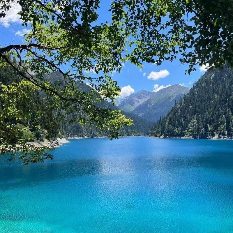 A五路财神的掌上明珠🌻