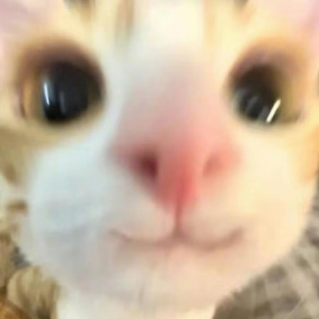 一百分