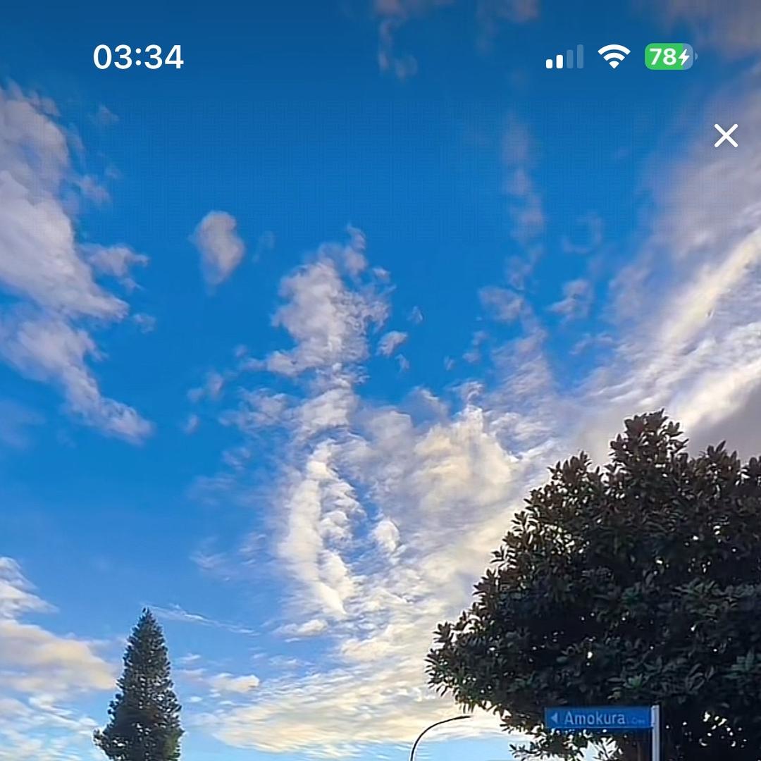 柯静百货