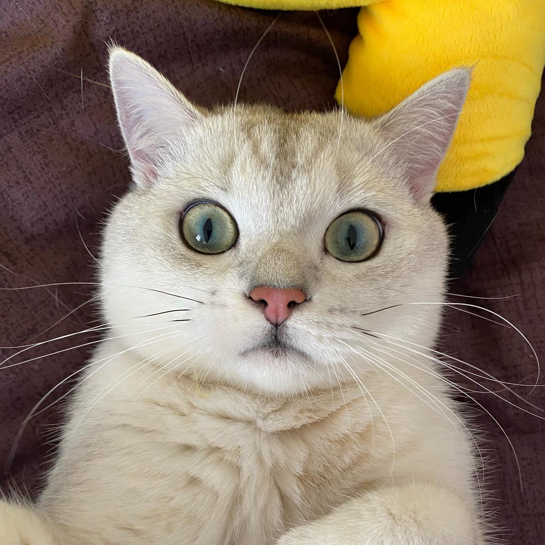 7L21