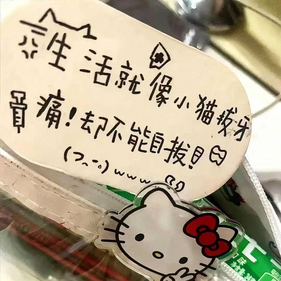 兰情-蕙性
