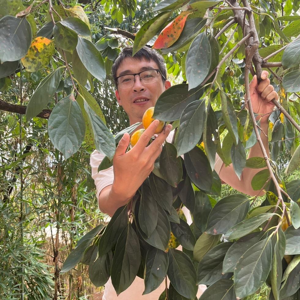 农村陈眼镜
