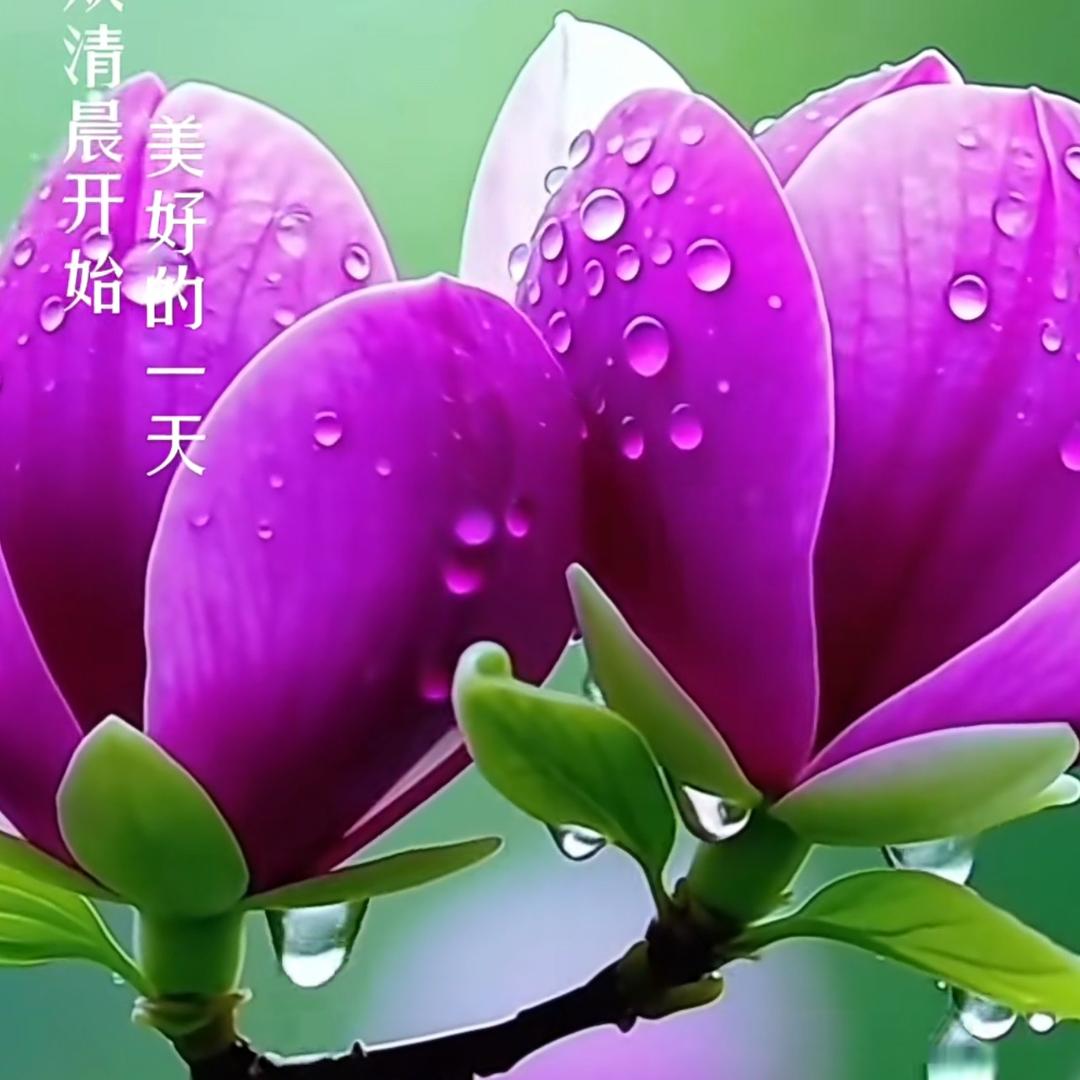 @三摇