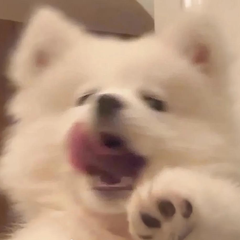 Y ·